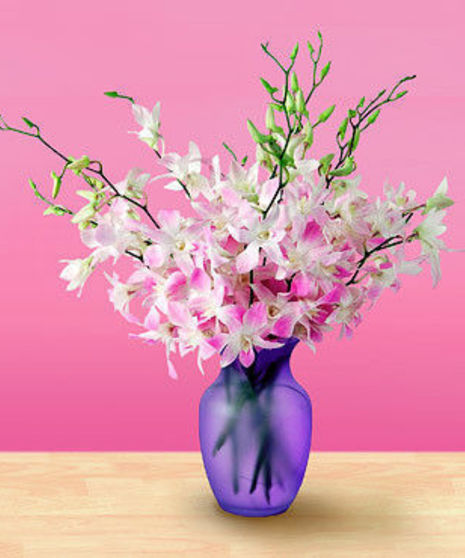 Mistine Orchid Bouquet